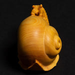 Wooden Snails Statue Sculpture